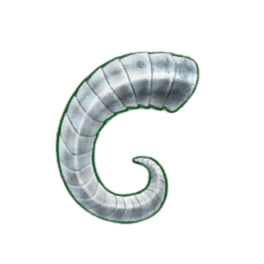 Darkstreak Rams Horn [Brewed]