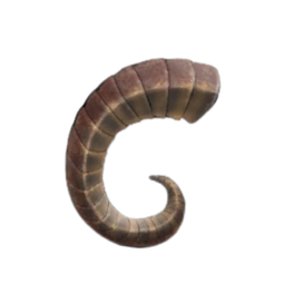 Redflank Rams Horn