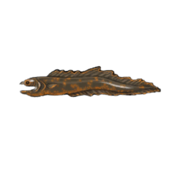 Howrife Eel