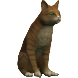 Orange Tabby Cat