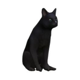 Black Cat