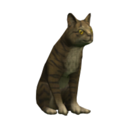 Brown Bengal Cat