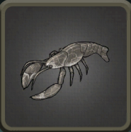 Rock Lobster