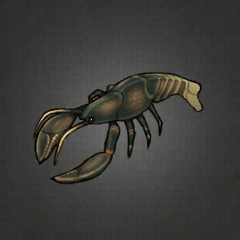 Flobber Lobster