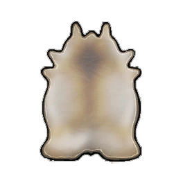 Perfect Halebeast Leather