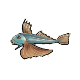 Shiny Gurnard