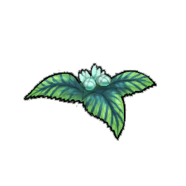 Heartleaf Nettle