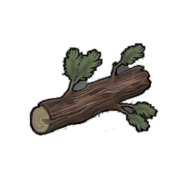 Moderate Juniper Log