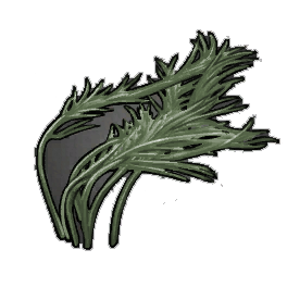 Thick Pond Weed