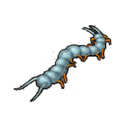 Scuttling Centipede