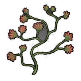 Probing Creeper
