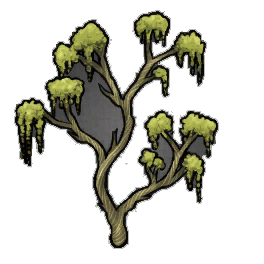 Knot Creeper