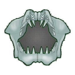 Flawless Shark Jaw (Brewed)