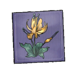 Summer Duskbloom Seed Packet