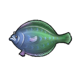 Peacock Flounder