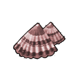 Arc Limpet