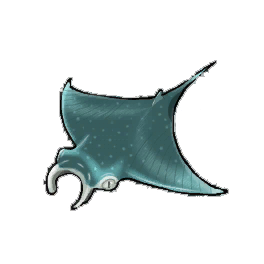 Broad Ray