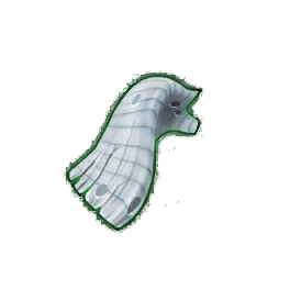 Battered Goat Horn (Brewed)