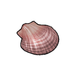 Dish Shell