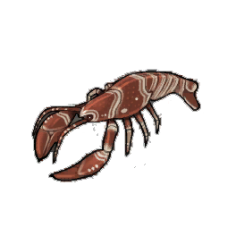 Striped Lobster