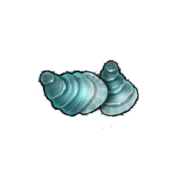 Saltflow Oyster