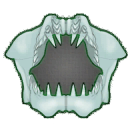 Great White Shark Jaw (Brewed)