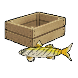 Striped Sturlet