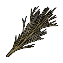 Superior Willow Branches
