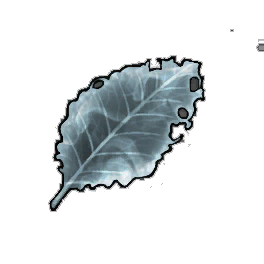 Mistcharged Dock Leaf