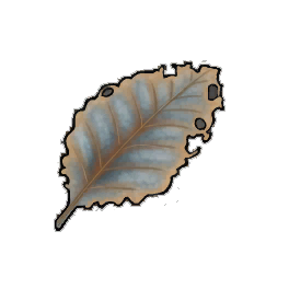 Burnished Dock Leaf
