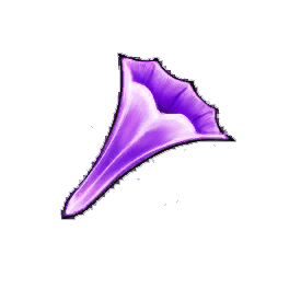 Starshine Bellplant