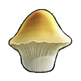 Grotto Toadstool