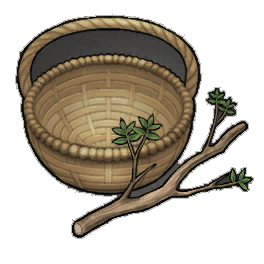 Average Elder Branches