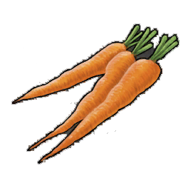 Carrots