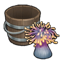 Satin Anemone