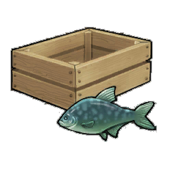 Surf Bream