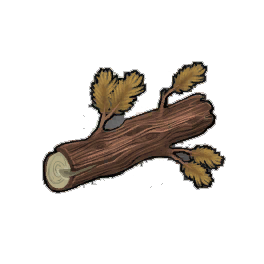 Moderate Yew Log