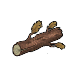 Average Yew Log