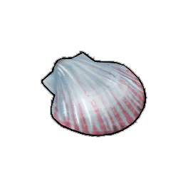 Crown Shell