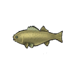 Placid Bass