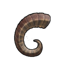 Redflank Rams Horn