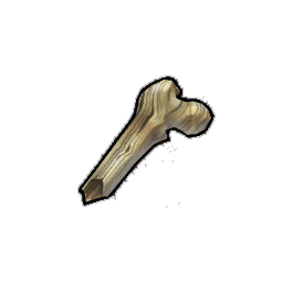 Striated Femur Shard