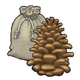 Enormous Pinecone