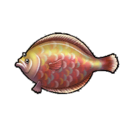 Jelly Flounder