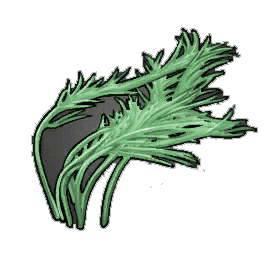 Matted Pond Weed