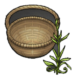 Brush Tarragon