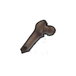 Jagged Femur Shard