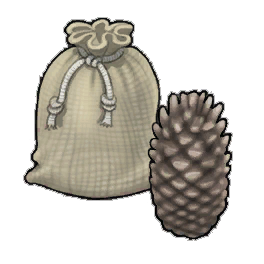 Medium Pinecone