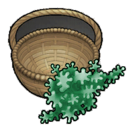 Squishy Geckoplant