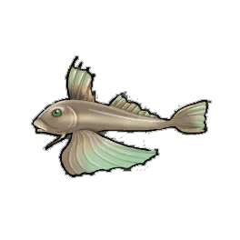 Torpedo Gurnard
